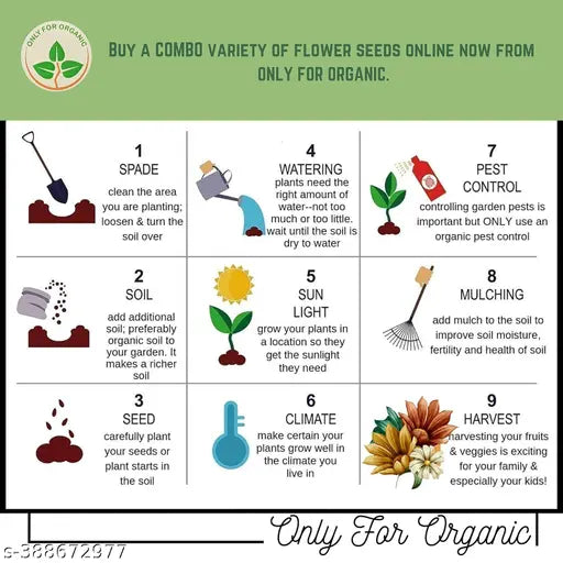 Mixed flower seeds-50 Seeds pack